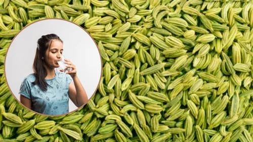 why fennel seeds make water taste sweet