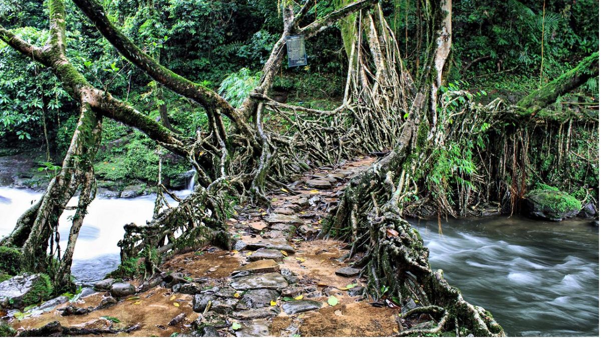 asia cleanest mawlynnong village of meghalaya (2)