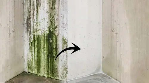 wall mold removal hacks