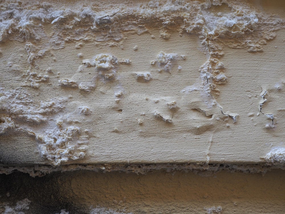 dampness-moisture-wall-min