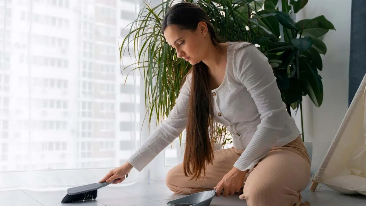 Dust Free Home Hacks: बिना थके चमकाएं अपना घर, ये 7 आसान हैक्स रखेंगे धूल को दूर