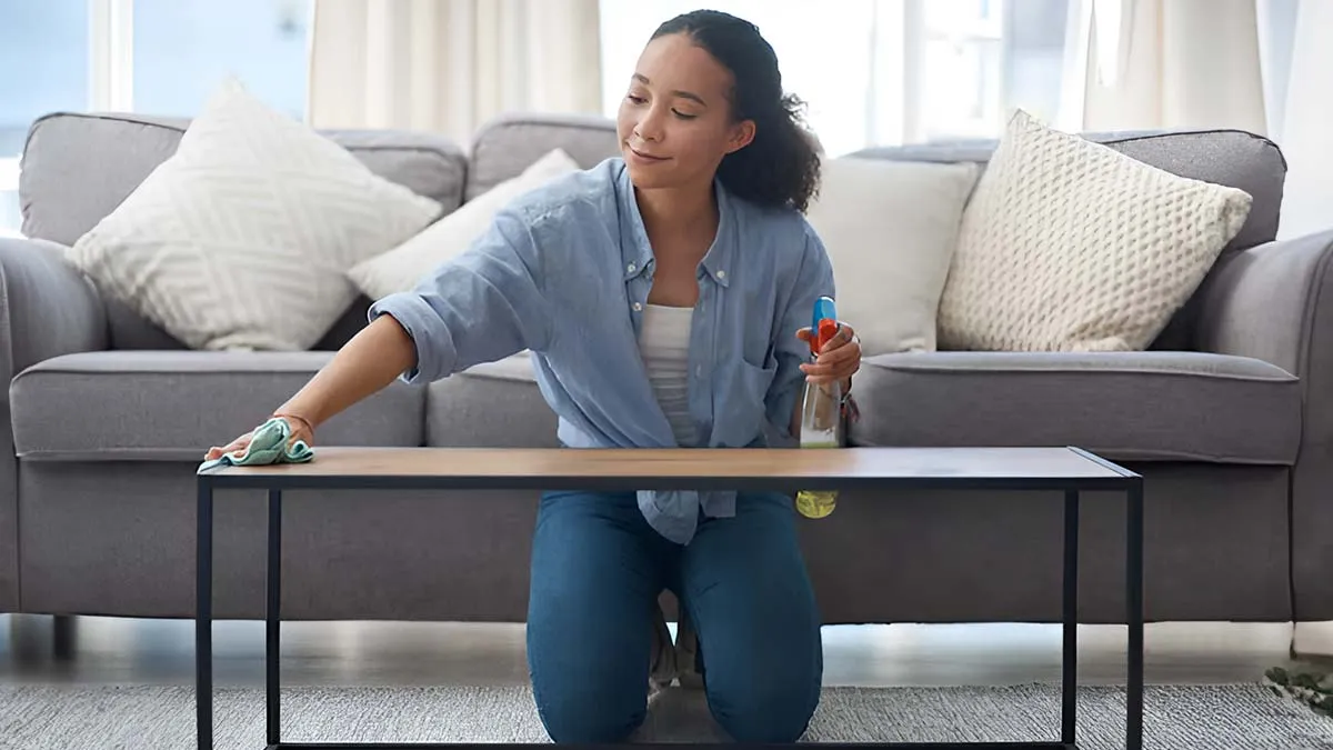 dust free home tips