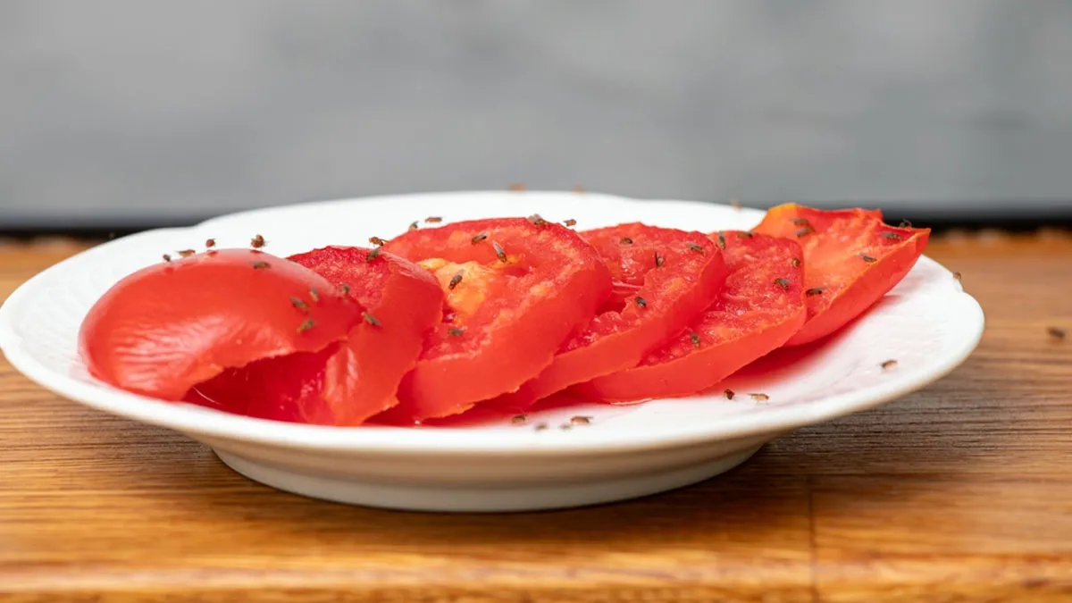fruit files preventen tips