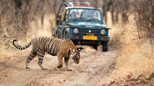 ranthambore national park rajasthan online safari ticket booking price and step by step guide
