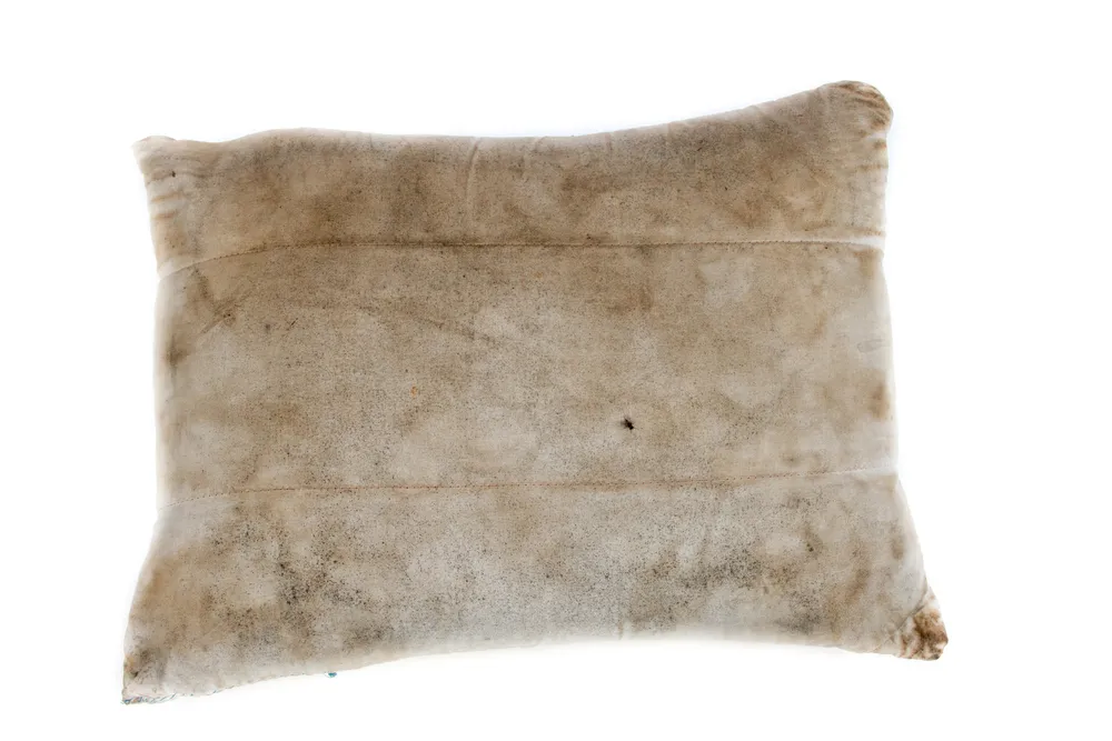 How-to-clean-your-pillows-without-washing-them-1770716009179