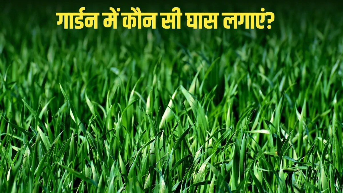 best grass for gardens