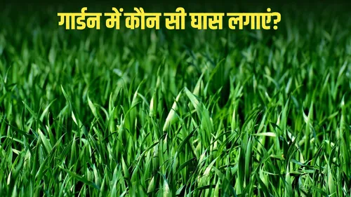 best grass for gardens