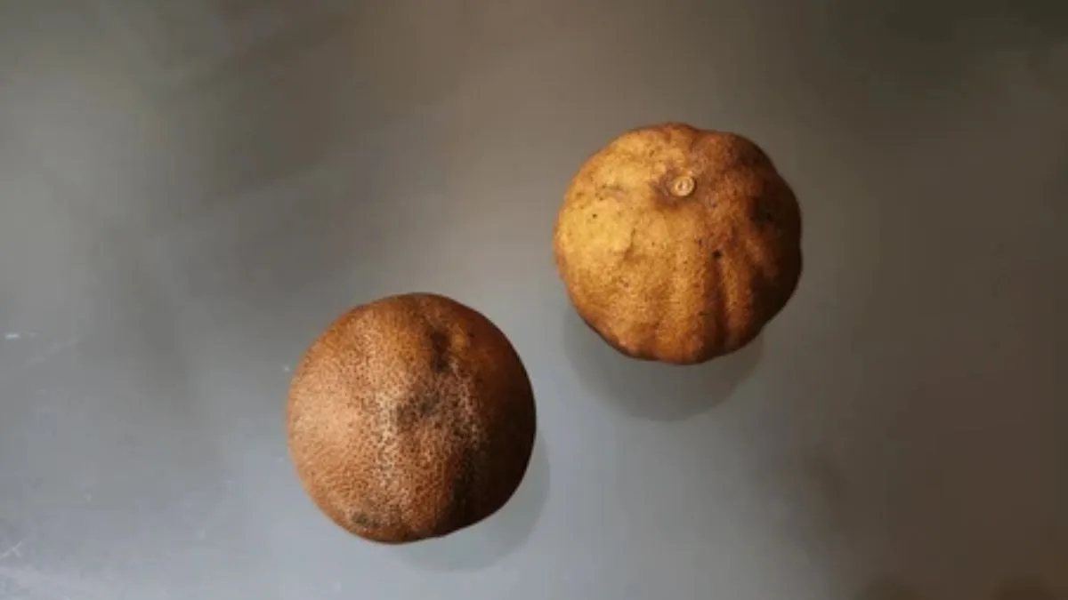 how to get juice from dry lemons (1)