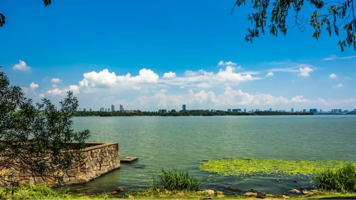 foreign vibe in hyderabad (2)