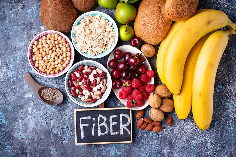 magnific fiber for gut health