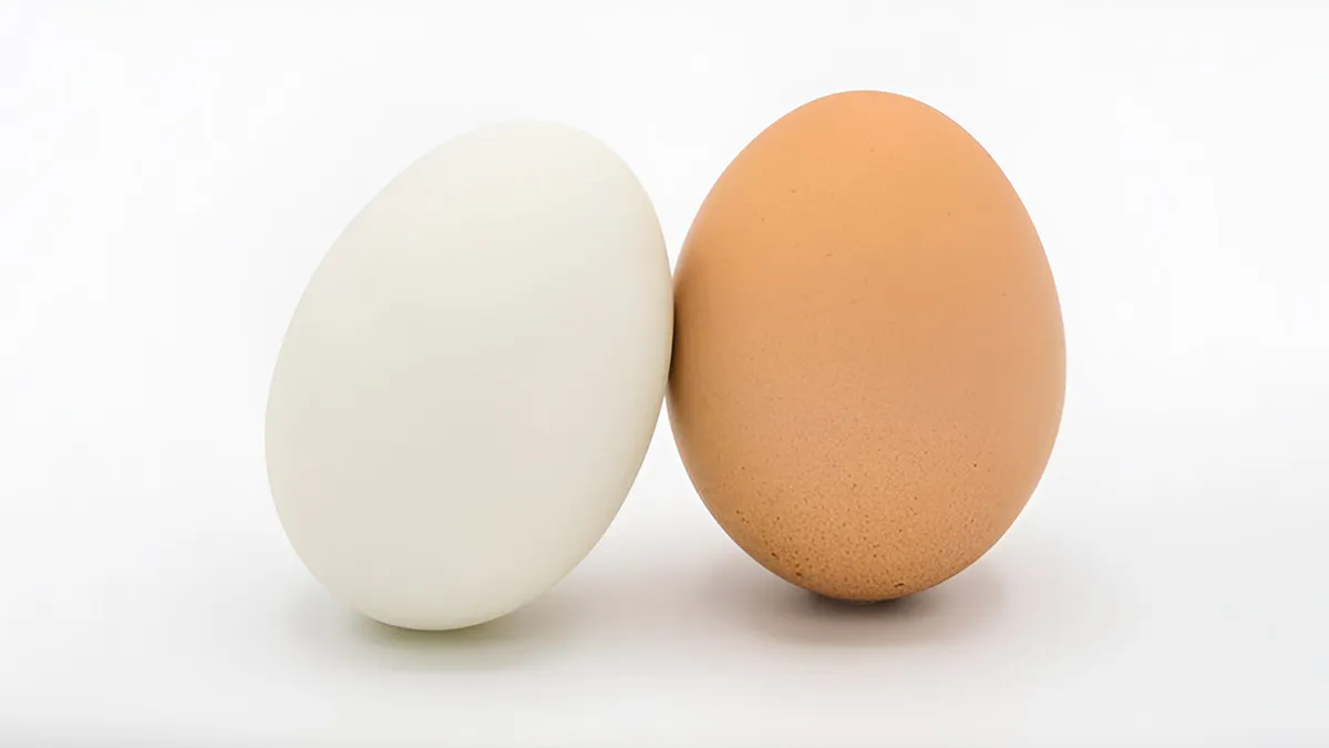 egg difference