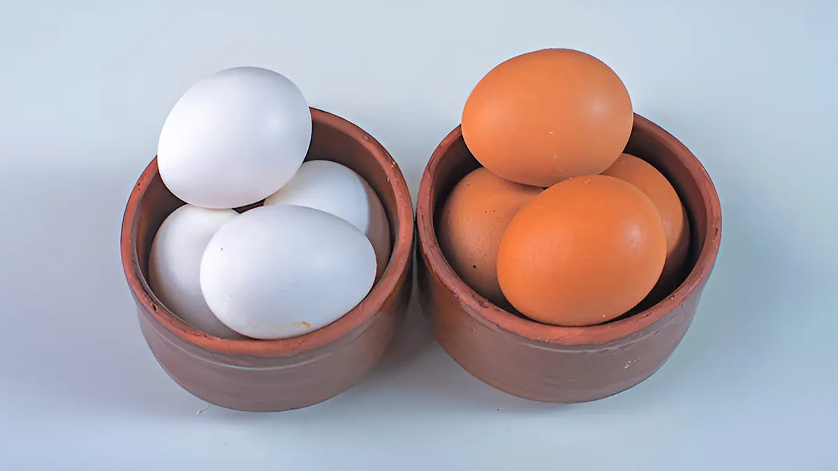 white brown eggs