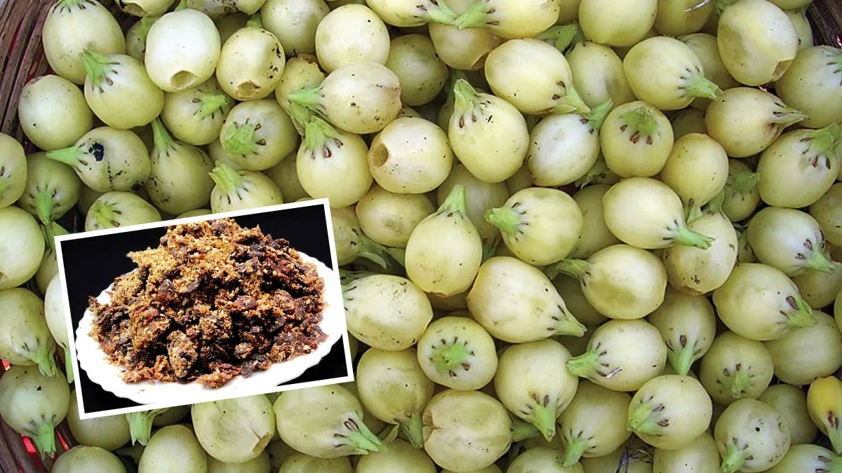 Uttar Pradesh cuisine mahua ka lata