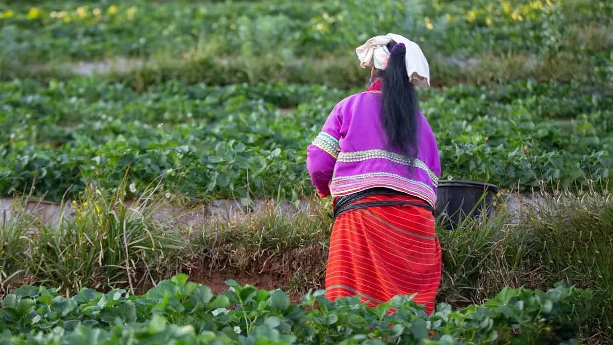 agritourism places