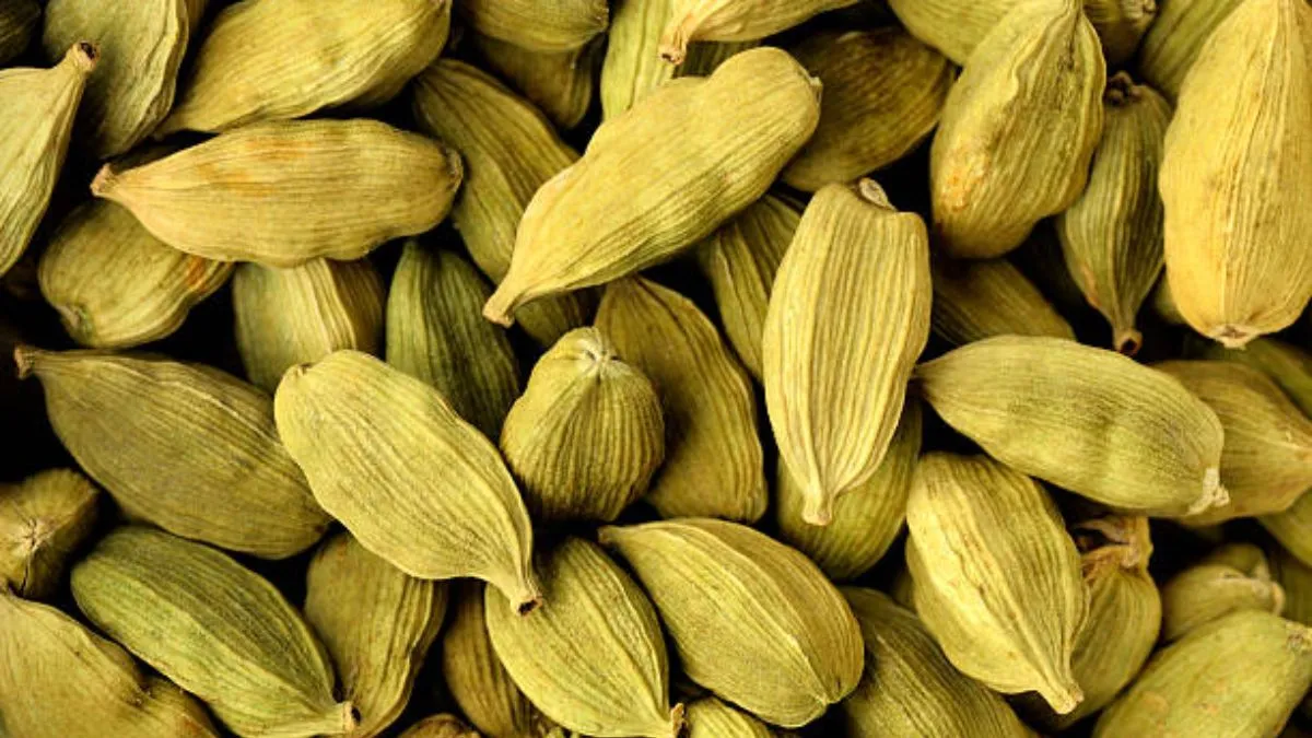 cardamom benefits for health (1)