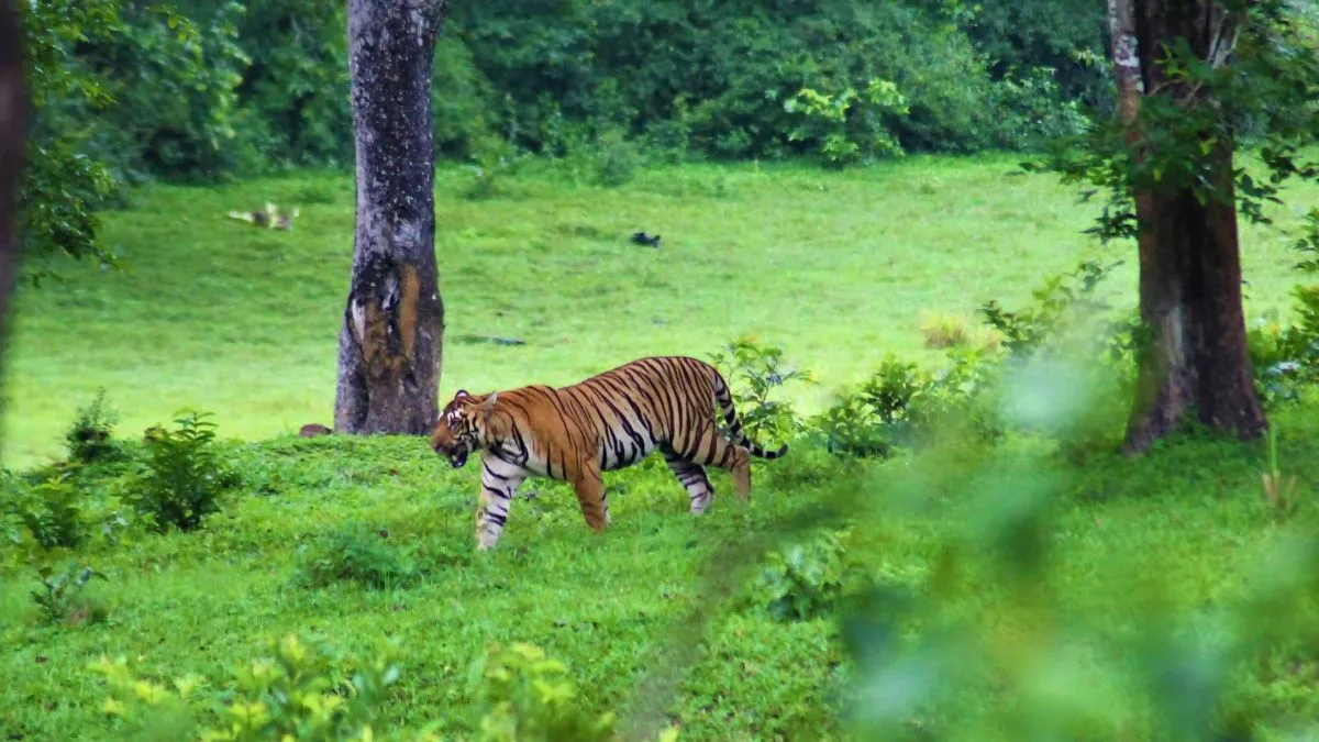 unique places in india for unforgettable experiences (3)