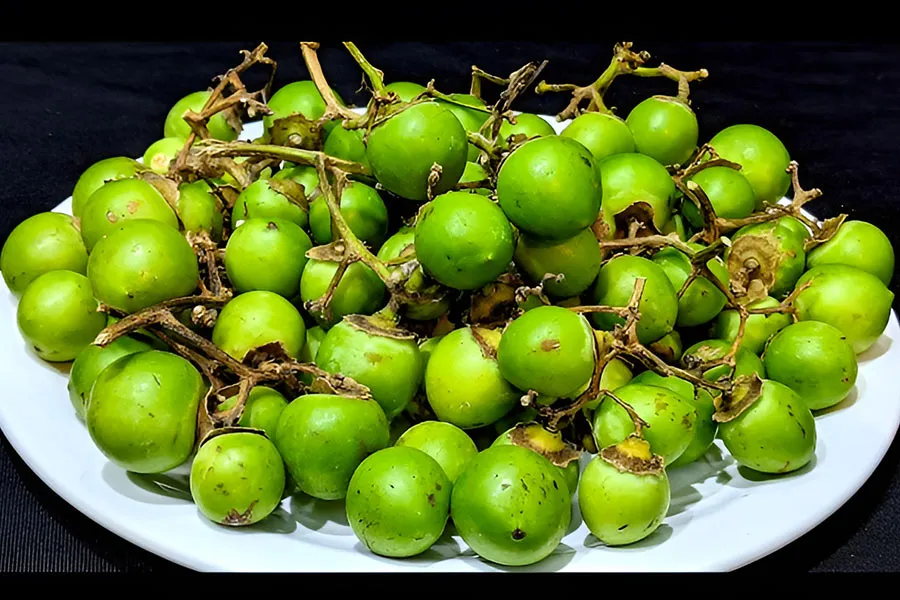 Lasoda fruit