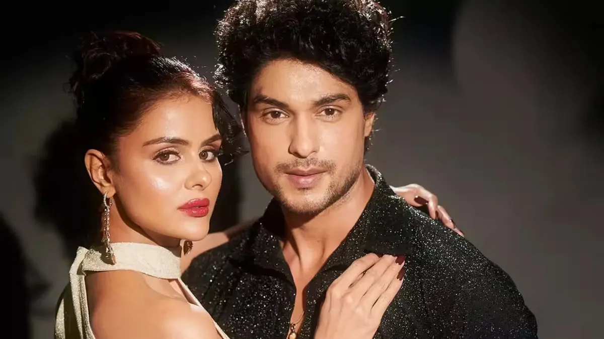 priyanka chahar choudhary has addressed reports of what went wrong between her and ankit gupta