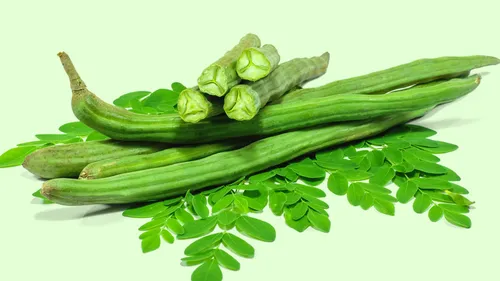 drumstick moringa health benefits