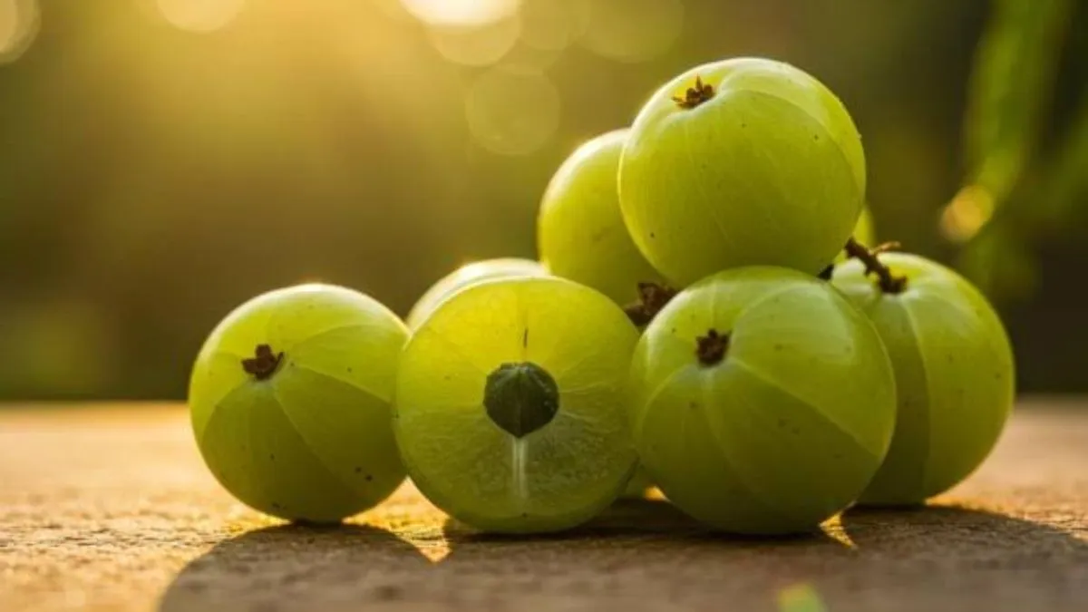 right way to consume amla (1)
