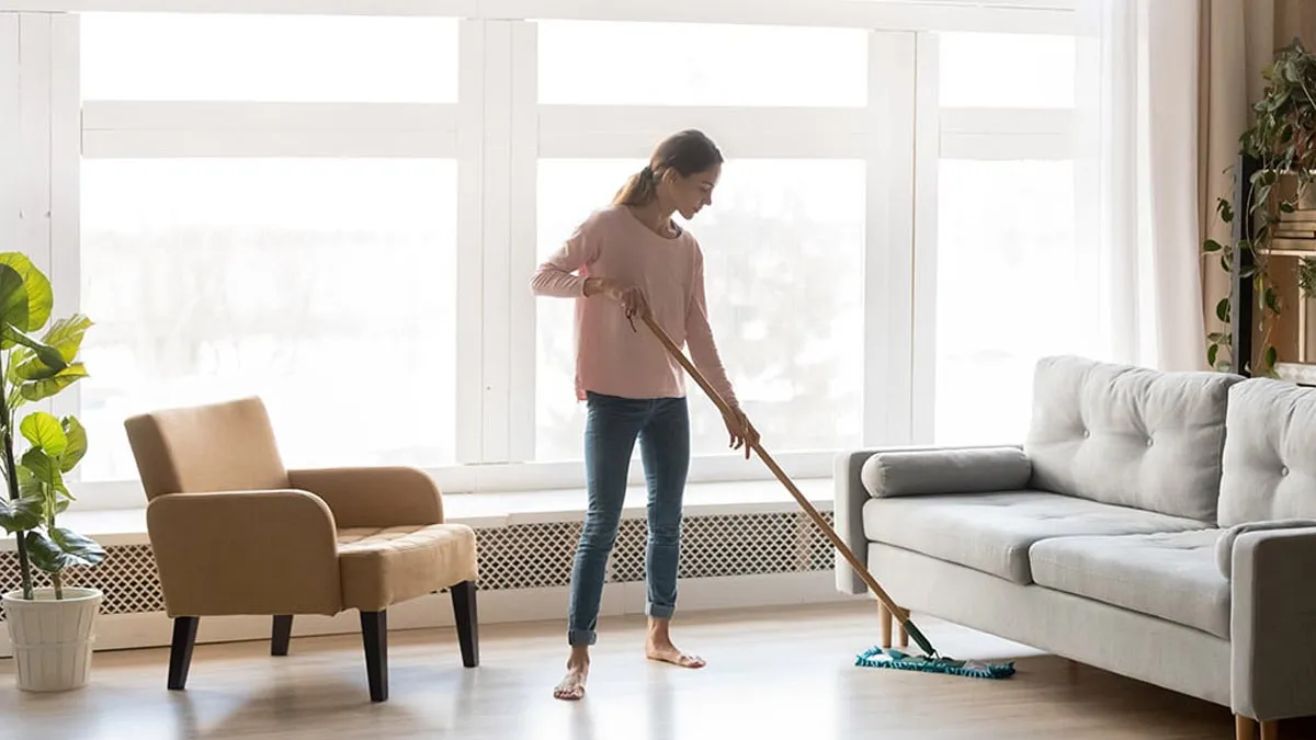 tricks-to-clean-your-living-room-in-hindi