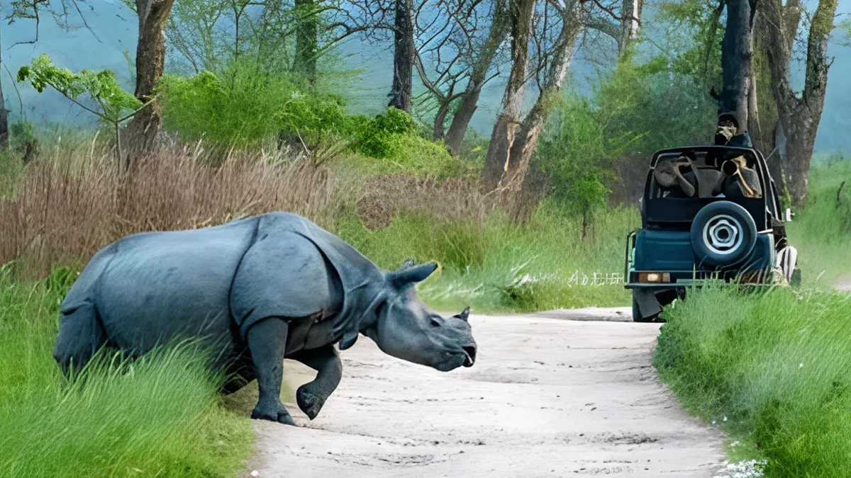 Kaziranga National Park Reopen 2026