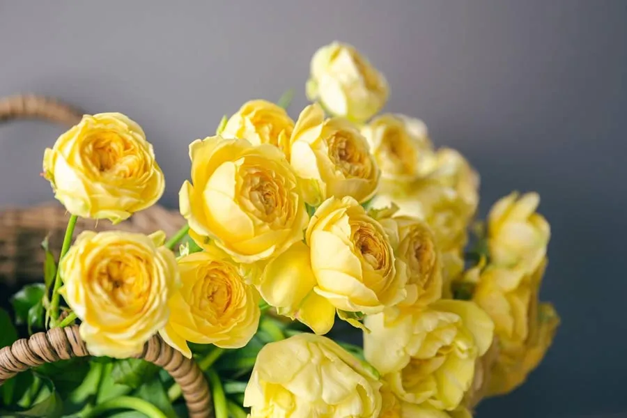 magnific navratri day 1 flower