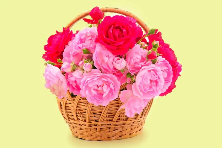 magnific navratri day 3 flower