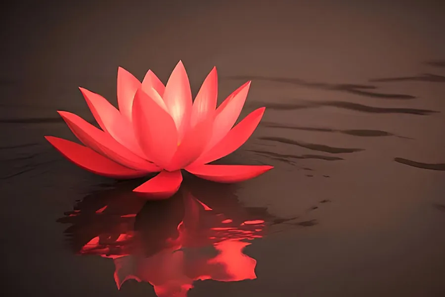 magnific navratri day 4 flower