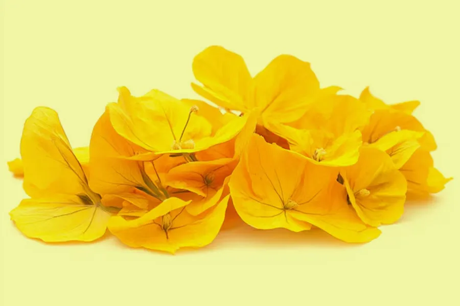 navratri day 5 flower