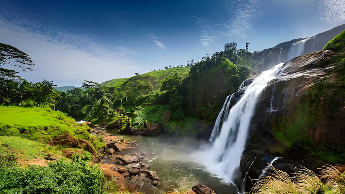 magnific coorg