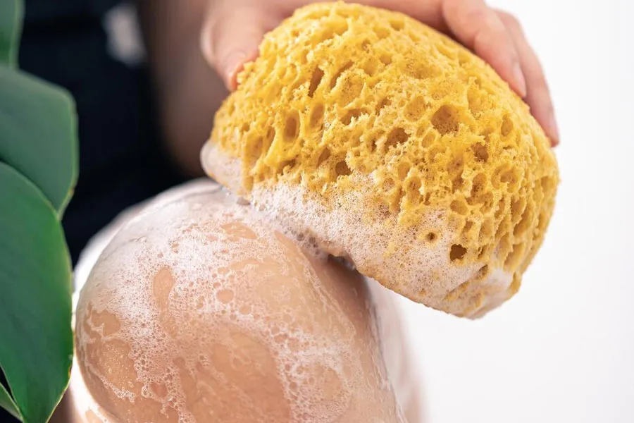 magnific loofah
