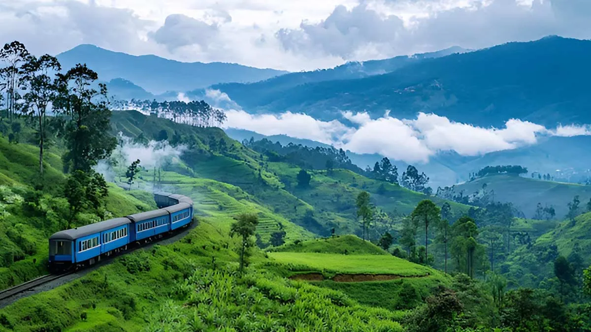 magnific shillong