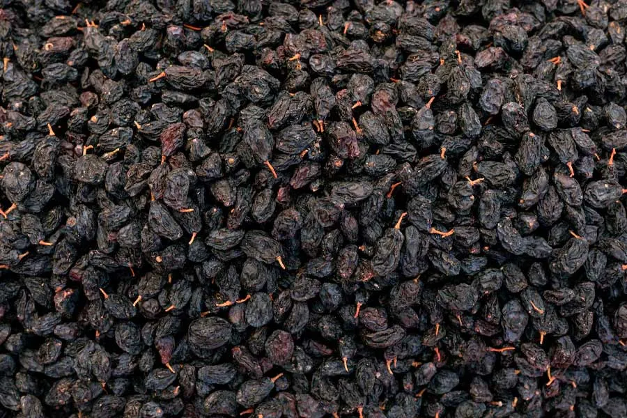 black raisins