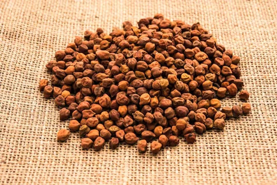 chana