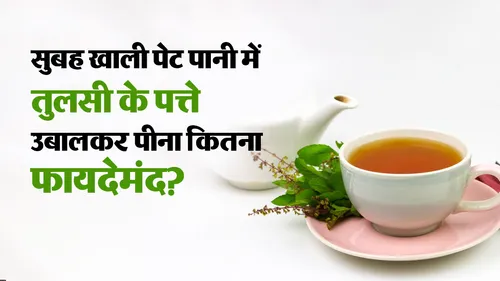 what happens if you drink water boiled with 7 tulsi leaves on an empty stomach