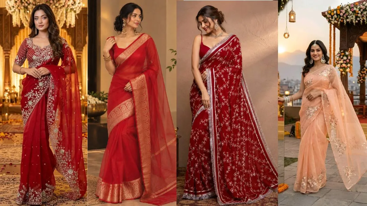 organza saree for an attractive look