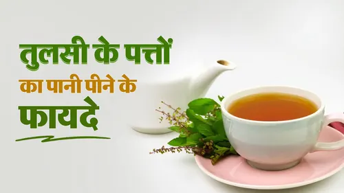 1 महीने तक रोज सुबह खाली पेट तुलसी के 7 पत्ते पानी में उबालकर पीने से क्या होता है?