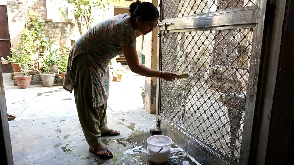 how to clean iron door mesh
