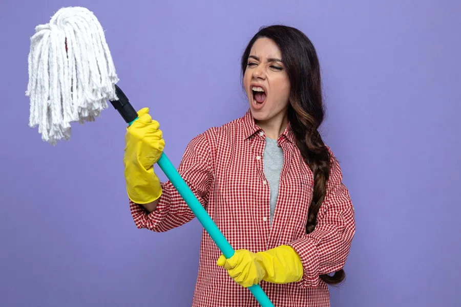 spiderweb cleaning