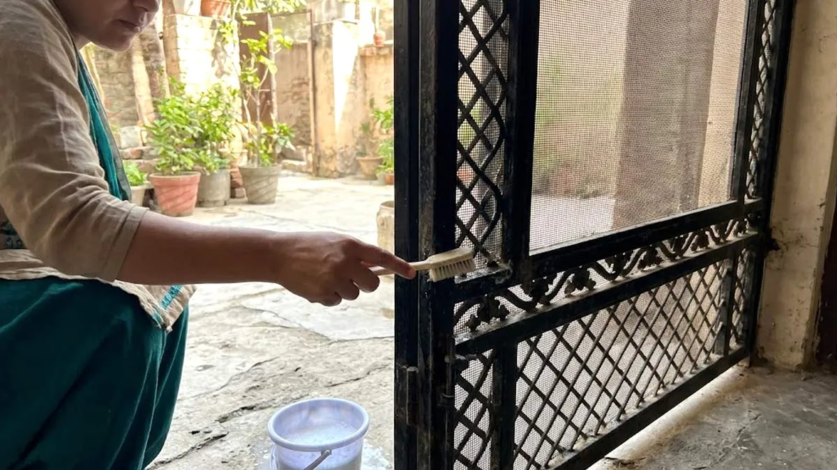 tips to clean iron door mesh