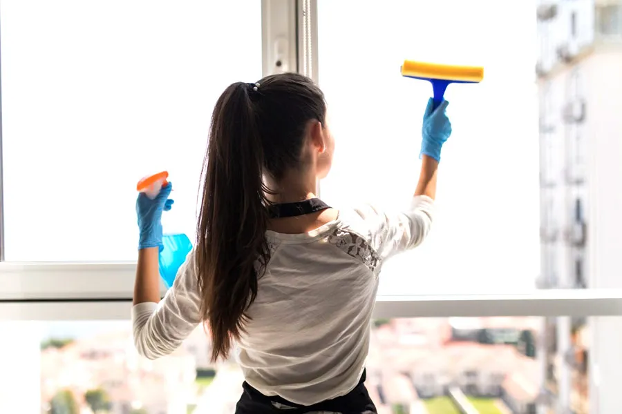 window cleaning