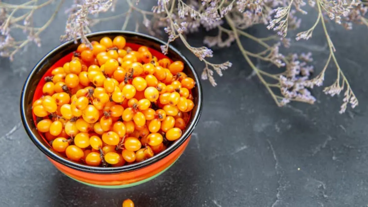 sea buckthorn benefits nutritional value  (1)