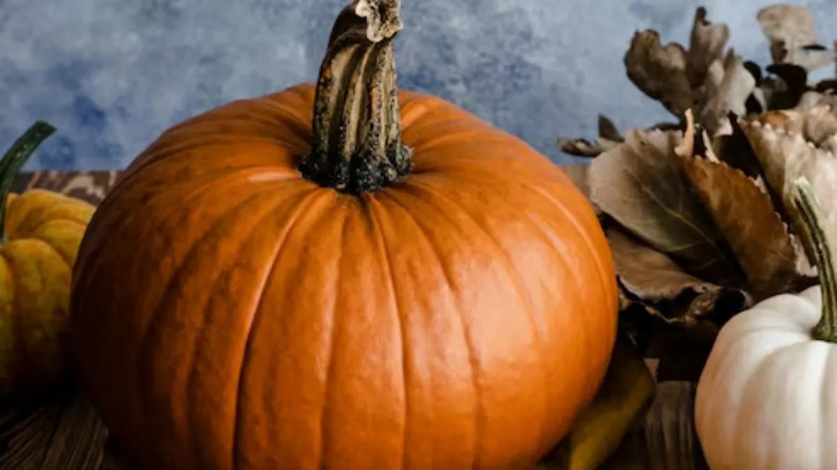 national pumpkin day celebration before halloween (1)