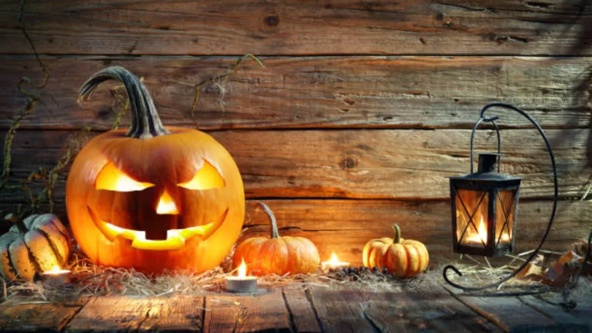 national pumpkin day celebration before halloween (2)