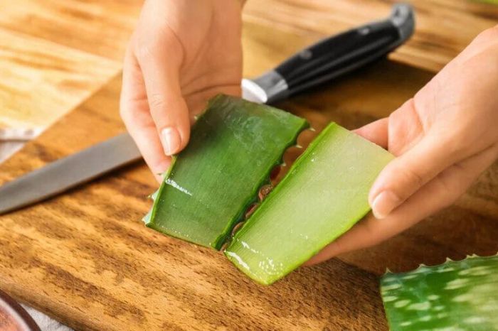 prepare-natural-aloe-vera-gel-at-home-like-this-5