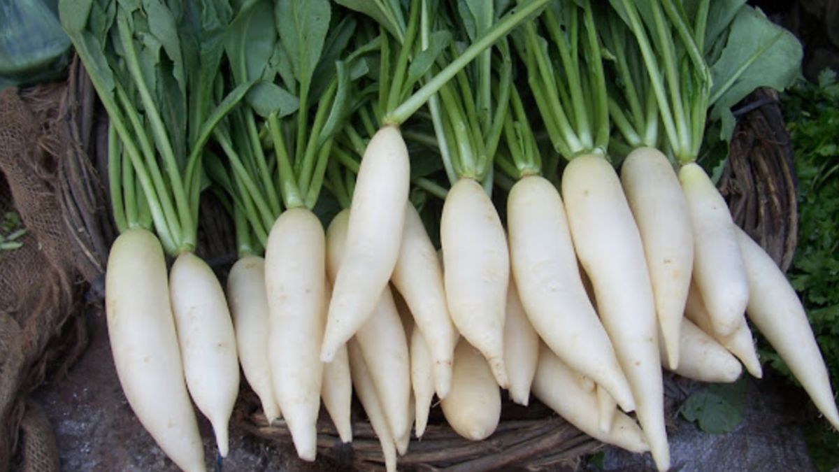 Mullangi Keerai Benefits முத்து போல இந்த 7 நன்மைகளைக்