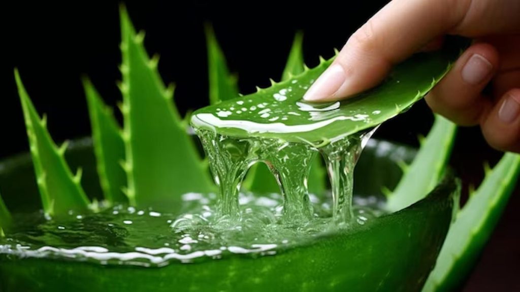 aloe-vera-benefits-for-face-1024x576