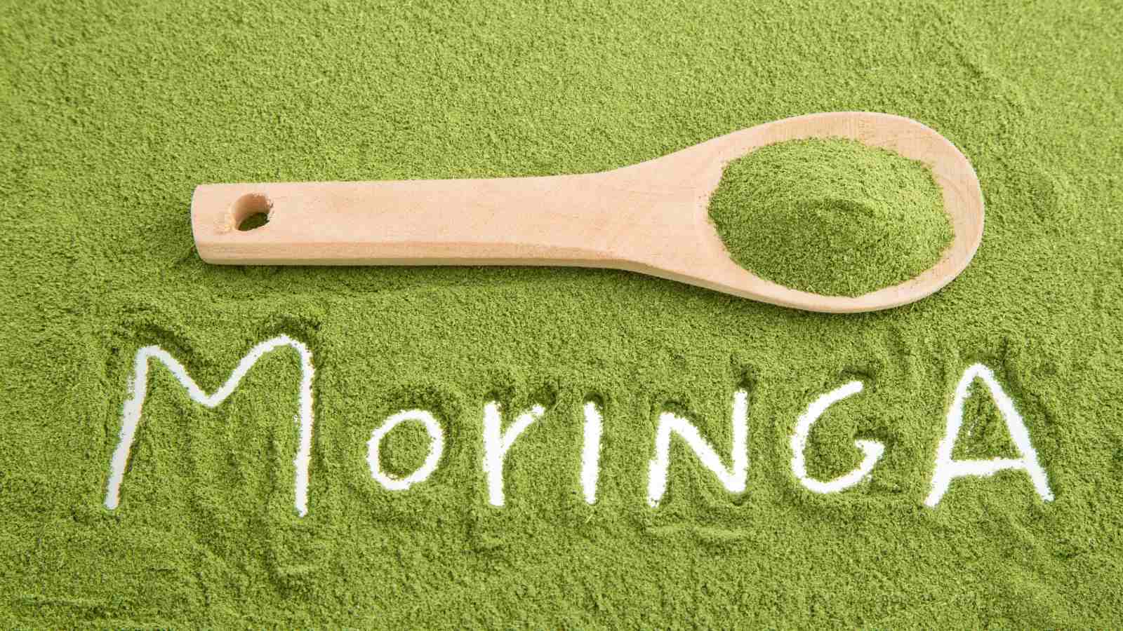 moringa-1 (1)