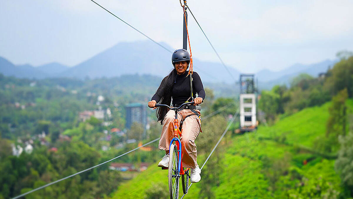 wayanad-tourism-plantation-artic (1)